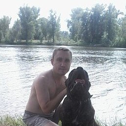 �������, �������, 44 ����