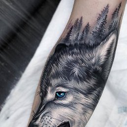 ���������, ������, 44 ����