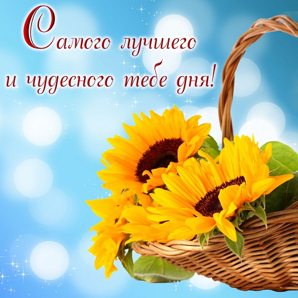   - 13  2023  13:05