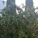 ���� ����, ���� - ��������� 23 ������� 2023 � ������ ���� ����������