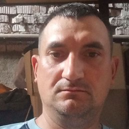 ����, �����-���������, 40 ���