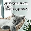 ���� �������, ����, 49 ��� - ��������� 27 ���� 2023 � ������ ���� ����������