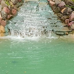 �������, ������, 49 ���