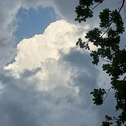 ������, �������, 36 ���