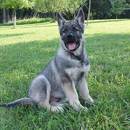 ����, �����, 20 ���