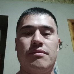 Shoxrux, �������, 35 ���