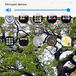 ������, ���������, 52 ����