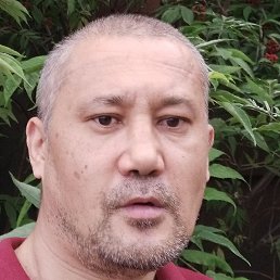 �����, ������, 38 ���