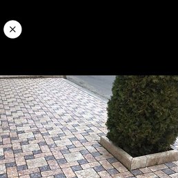 �����, ������, 35 ���