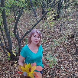 ���� ������, ���������, 63 ���� - ��������� 23 ���� 2023