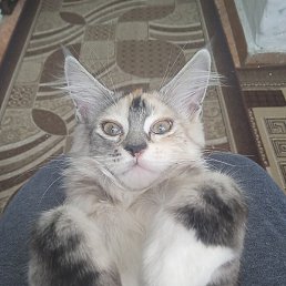 ����, ������, 47 ���