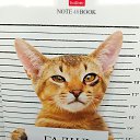 ���� ����, �����, 32 ���� - ��������� 6 �������� 2023 � ������ ���� ����������