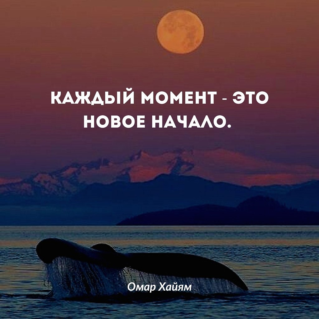 Каждый момент - это новая возможность изменить свою жизнь к лучшему, начать что-то новое и увидеть ...