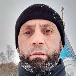 ����, �����-���������, 51 ���