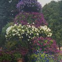 ���� �����, ������, 51 ��� - ��������� 9 ���� 2023