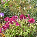 ���� ����, ������, 56 ��� - ��������� 13 �������� 2023 � ������ ���� ����������