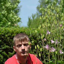 ������, ������, 33 ����