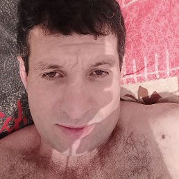 �����, ������, 41 ���