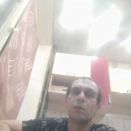 �������, �����-���������, 48 ���