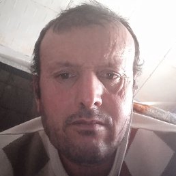 ���������, ��������, 47 ���