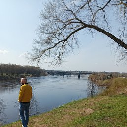 ������, �����, 46 ���