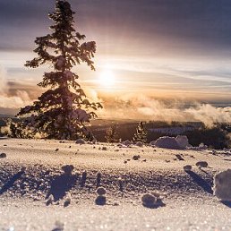 ���� ������, ��������, 66 ��� - ��������� 19 �������� 2023