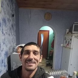 ���� ������, ��������, 46 ��� - ��������� 12 ���� 2023