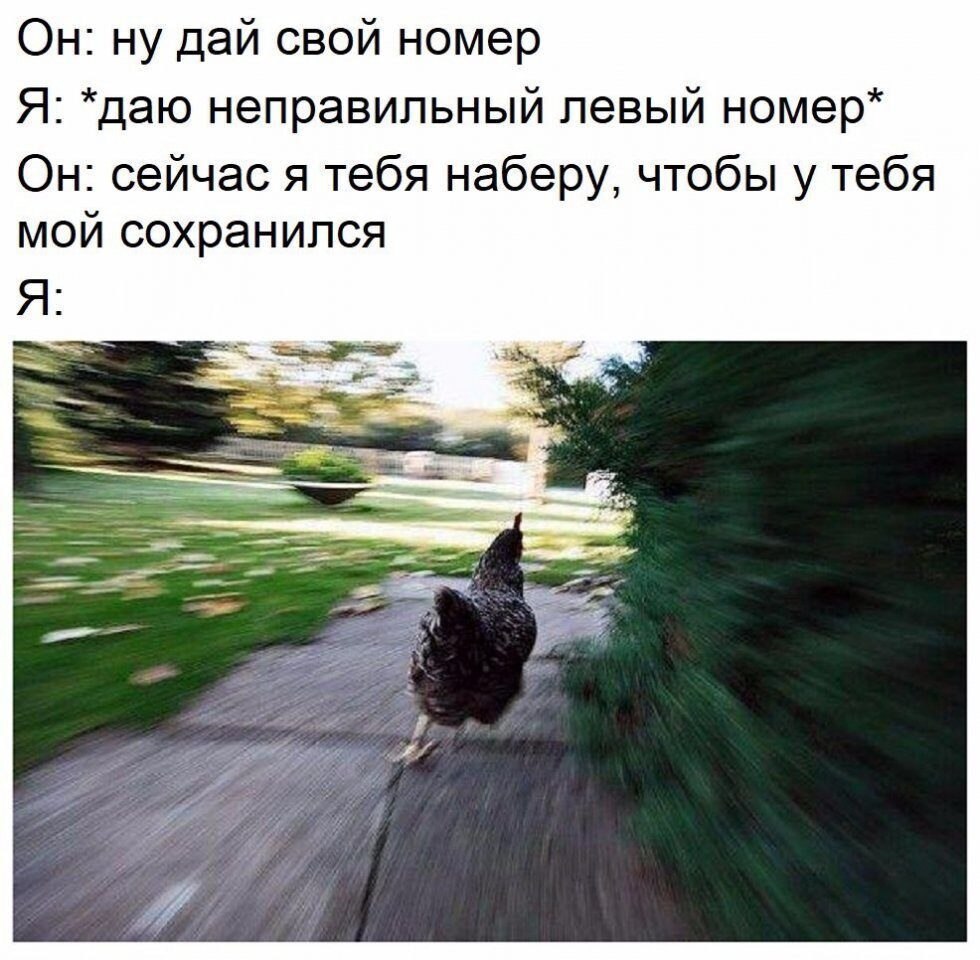***Victoria Viktorovna*** - 22  2023  11:33