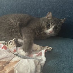 ����, �������, 24 ����