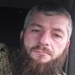 ����, ����������, 43 ����