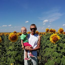 ���������, ���������, 54 ����