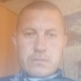 �����, ������, 38 ���