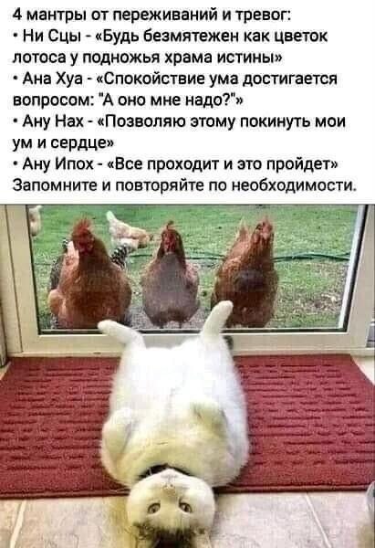   - 24  2023  15:48