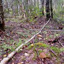 ���� �����, �����-���������, 63 ���� - ��������� 27 ������� 2023 � ������ ������ ��������