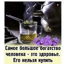 ���� ��������, ���������, 61 ��� - ��������� 2 ������� 2023 � ������ ���� ����������