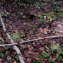 ���� �����, �����-���������, 63 ���� - ��������� 27 ������� 2023 � ������ ������ ��������