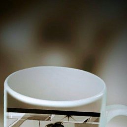 ���� ���������, �����������, 35 ��� - ��������� 16 �������� 2023