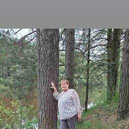 �������, ������, 66 ���