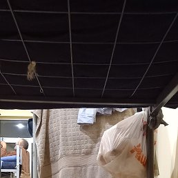 ���� ����, ������, 54 ���� - ��������� 4 �������� 2023