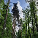 ���� �����, ������, 46 ��� - ��������� 2 ������� 2023 � ������ ���� ����������