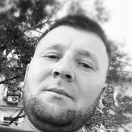 �����, ���������, 29 ���