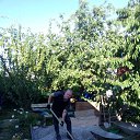 ���� �������, ���������, 43 ���� - ��������� 17 ������� 2023 � ������ ���� ����������
