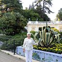 ���� ����, ���������� - ��������� 7 ������� 2023 � ������ ���� ����������