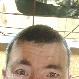 ����, �����������, 48 ���