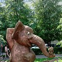 ���� Niko, ���, 46 ��� - ��������� 30 ���� 2023 � ������ ���� ����������