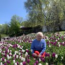 ���� ������, ����� - ��������� 7 ��� 2023 � ������ ������ ��������