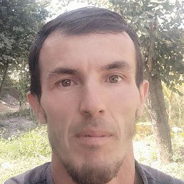 �����, �����-���������, 36 ���