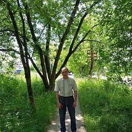 ���������, ������, 50 ���