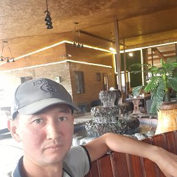 �����, ��������, 44 ����