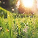 ���� ��������, �������, 56 ��� - ��������� 28 ���� 2023